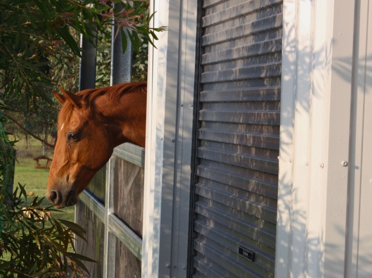Module Stables Horse Stables & Buildings - Phone: 833-933-3468